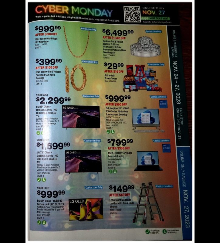 Costco Black Friday 2023 viernes negro ofertas folleto (31)