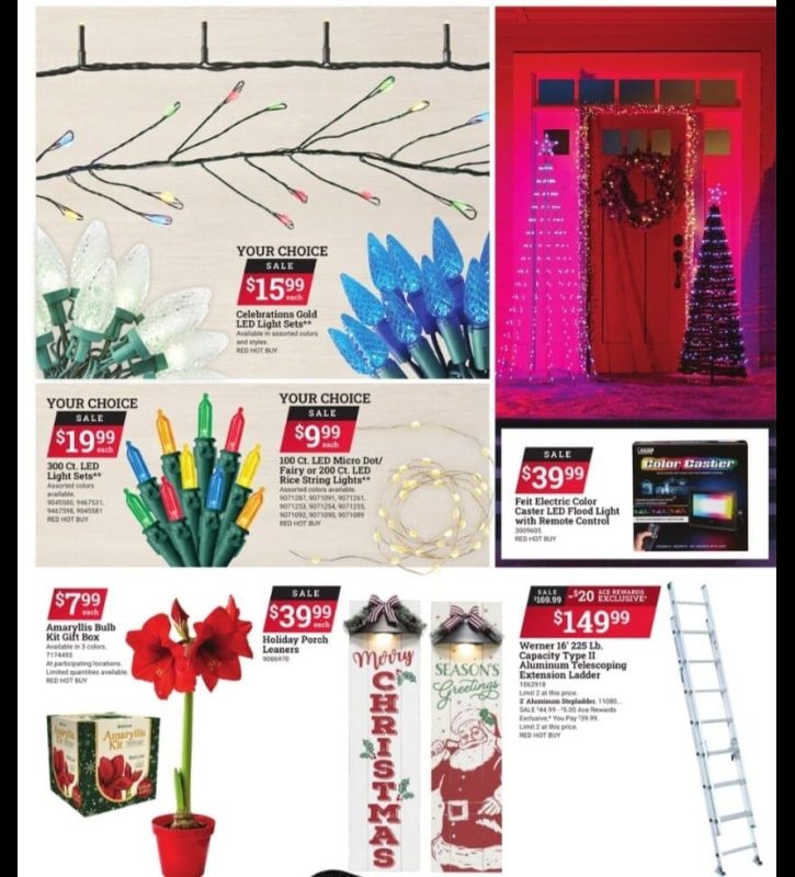 Ace Hardware Black Friday 2023 viernes negro ofertas folleto (9)